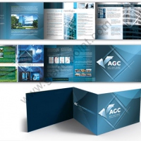 company profile agc1