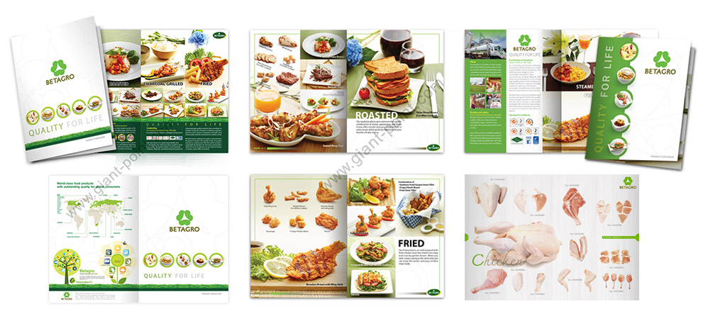 catalog design