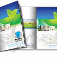 brochure design diaryfarm