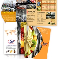 brochure design foodcyber