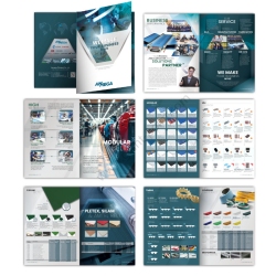 company_profile_design_Ammega