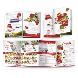 company_profile_design_Namdhari