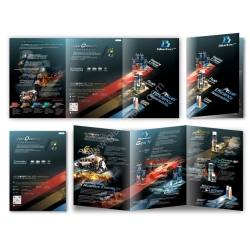 Catalog Design Bluets