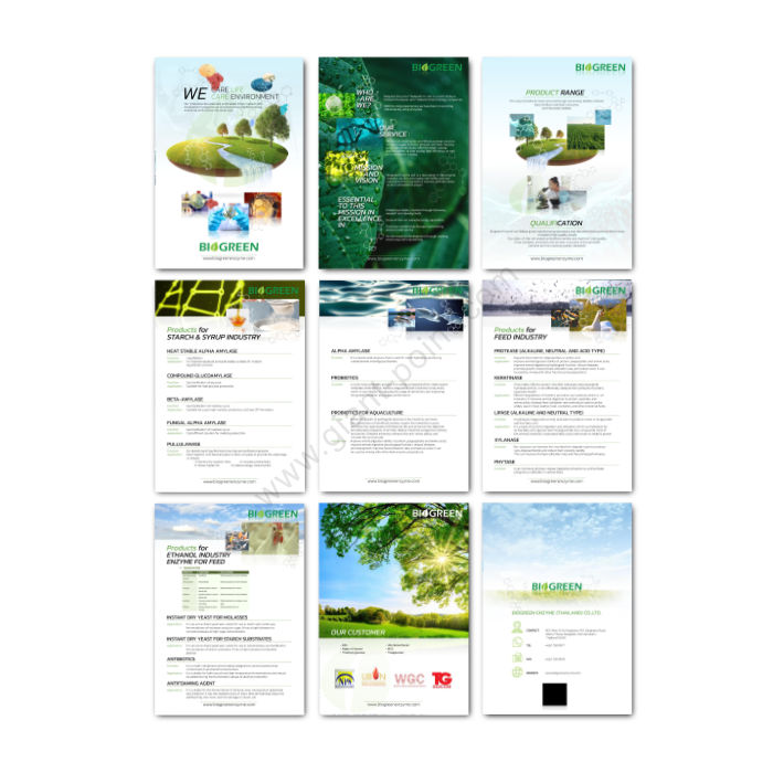 company_profile_design_Bio Green