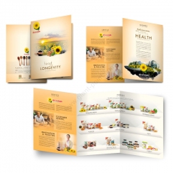 company_profile_design_Flower Food