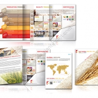 company_profile_design_shpglobalrice