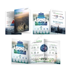 company_profile_design_app