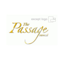 logo_design_thepassage