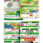 newsletter_design_kbank9