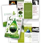 newsletter_design_scieco