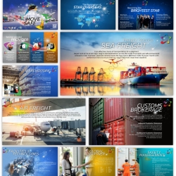 Star Oversea Logistics