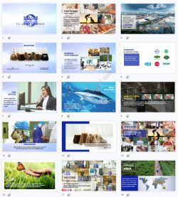 Google Slide